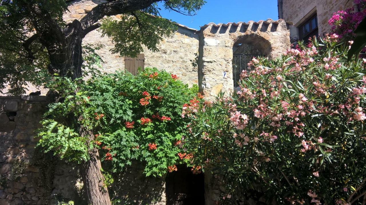 Les Studios De St Guilhem Saint-Guilhem-le-Desert Esterno foto